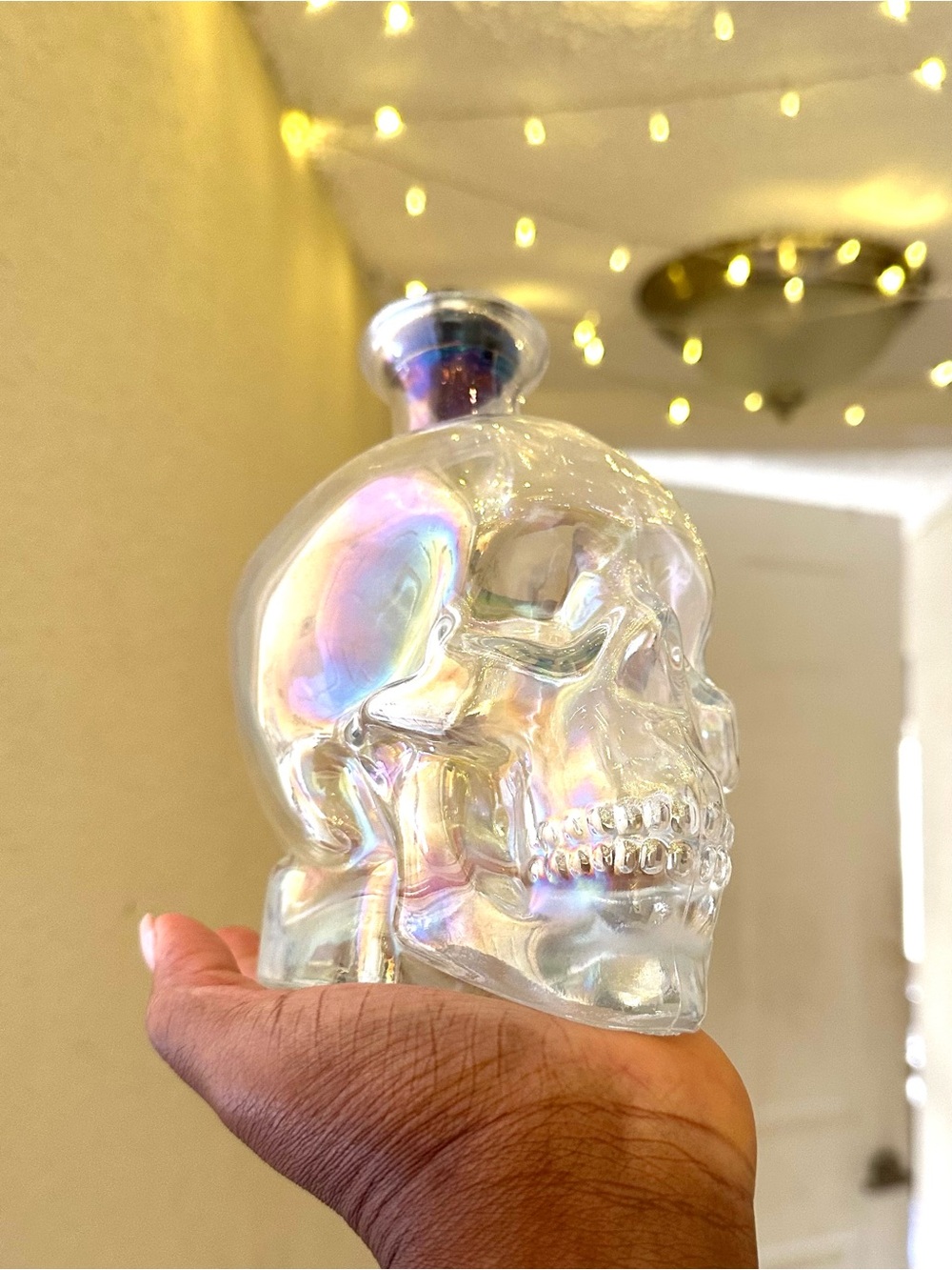 Iridescent Glass Skull Vase - Clear with Rainbow Sheen